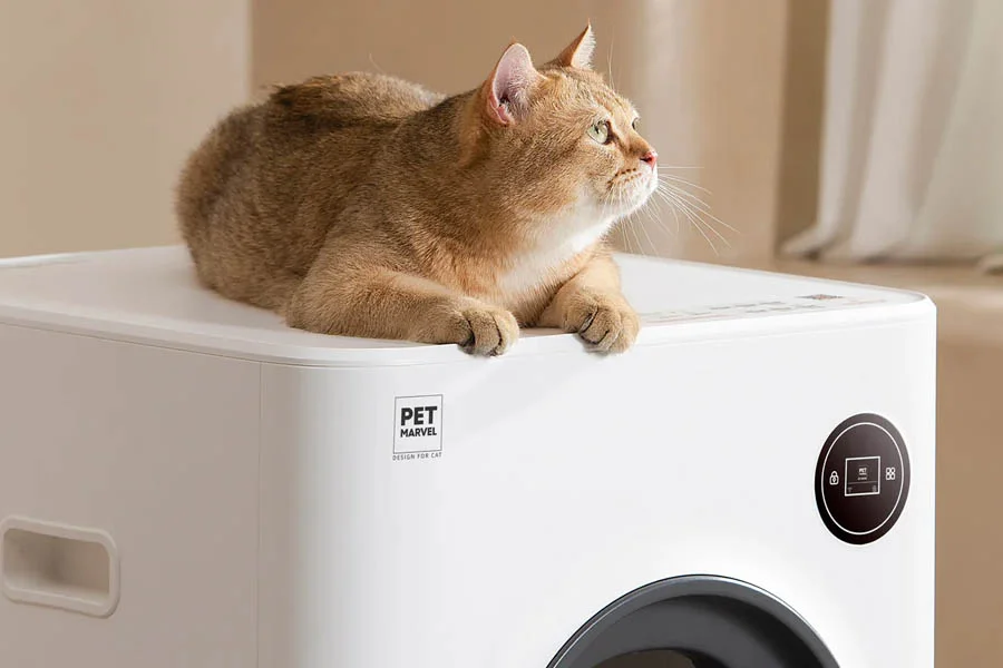 how to clean litter box